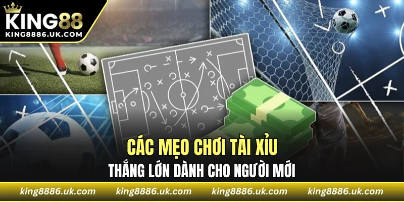 Các mẹo chơi tài xỉu thắng lớn dành cho người mới