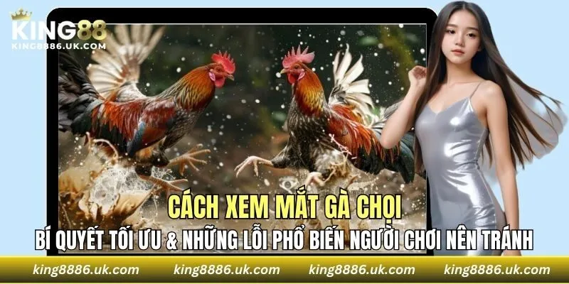 Cách Xem Mắt Gà Chọi
