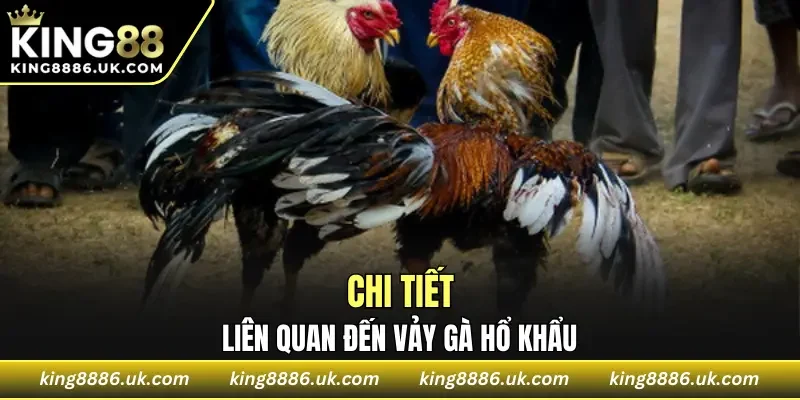 Chi tiết liên quan đến vảy gà hổ khẩu