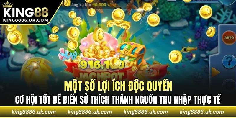 Cơ hội tốt để biến sở thích thành nguồn thu nhập thực tế