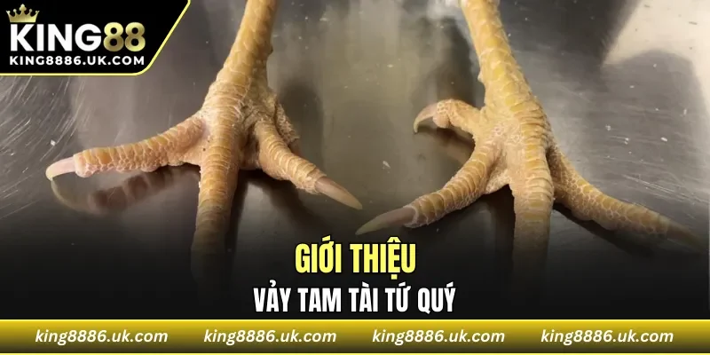 Giới thiệu sơ vảy tam tài tứ quý