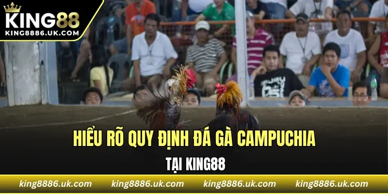 Hiểu rõ quy định đá gà Campuchia tại nhà cái