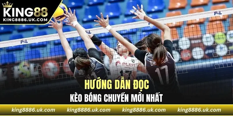 Hướng dẫn đọc kèo bóng chuyền mới nhất
