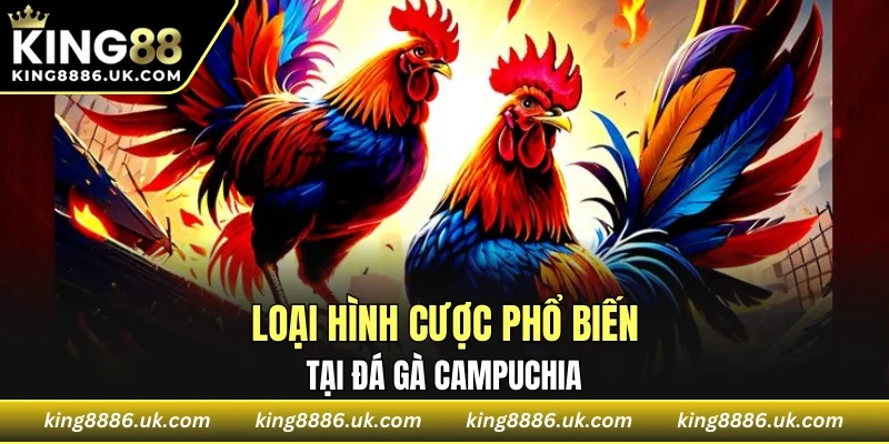 Loại hình cược phổ biến tại đá gà Campuchia