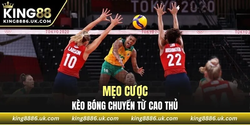 Mẹo cược kèo bóng chuyền từ cao thủ