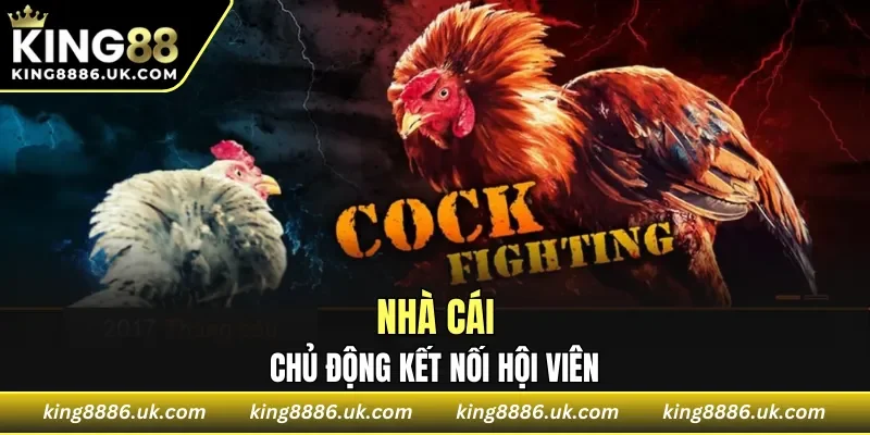 Nhà cái chủ động kết nối hội viên