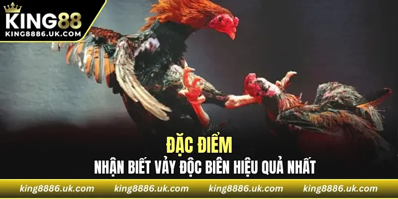 Những cách nhận biết vảy bể biên hiệu quả nhất