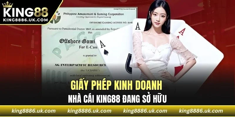 Những giấy phép kinh doanh đang được nhà cái sở hữu