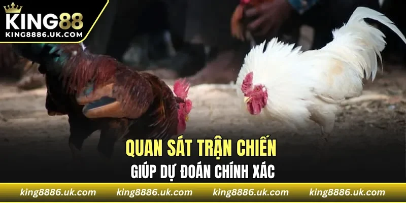 Quan sát trận chiến giúp dự đoán chính xác