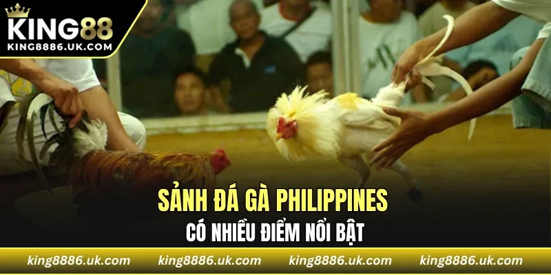 Sảnh đá gà Philippines có nhiều điểm nổi bật  