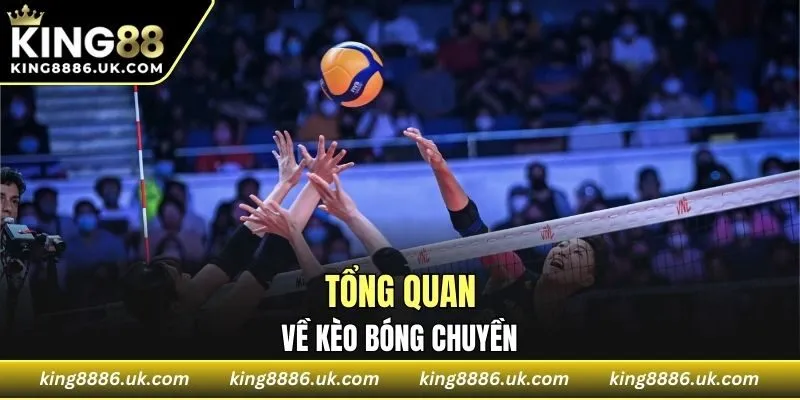 Tổng quan về kèo bóng chuyền